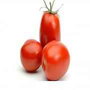 Plum Tomato
