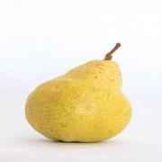 Bartlet Pear