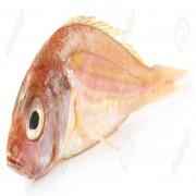 Poa (Frozen Cut Clean Ready To Cook)