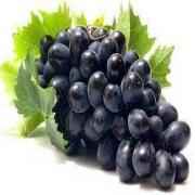 Black Seedless Grapes