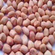 Apna Bazar Peanut Blanched