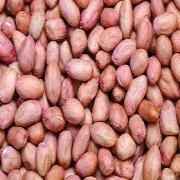 Apna Bazar Peanuts Regular