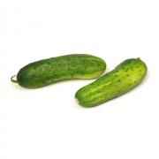 Indian Mini Cucumbers