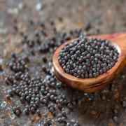 Swad Mustard Seeds