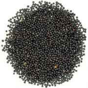 Mustard Seeds