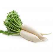 Radish (White Mooli)