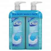 Dial Antibacterial Body Wash Spring Water