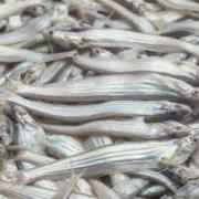 Lotia Mix