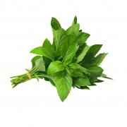 Mint Bunches