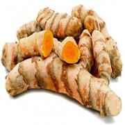 Turmeric Root