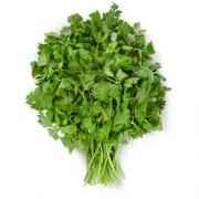 Cilantro Bunches