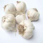 Garlic Bulbs