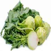 Green Kohlrabi