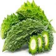 Indian Bitter Melon Grourd (Karela)