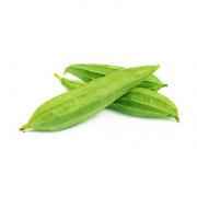 Ridge Gourd Dodka Sinqua Turia