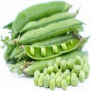 Fresh English Peas