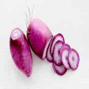 Daikon Radish