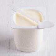Plain Yogurt