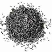 POLISH FOLKLORE BLACK POPPY