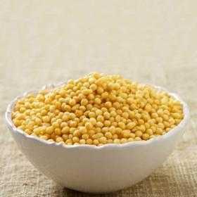 BOONDI