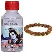 DIVINE SUPPLIES GANGA JAL