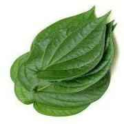 PAN LEAVES(BETEL)