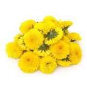 MARIGOLD FLOWER Small Bag