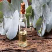 EQUALYPTUS OIL