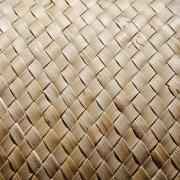 PALM MATS