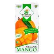 24MANTRA MANGO NECTAR