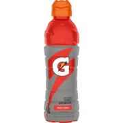 GATORADE FRUIT PUNCH