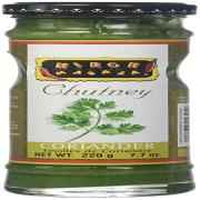 MIRCH MASALA CORIANDER CHUTNEY