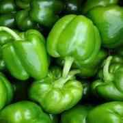 PEPPERS GREEN (FRESH)