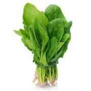 SPINACH FRESH VEGETABLE