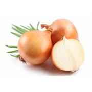 YELLOW ONIONS