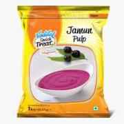 VADILAL JAMUN PULP