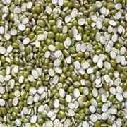 GAZAB MOONG SPLIT