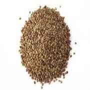 GAZAB HORSE GRAM