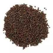 MUSTARD SEEDS