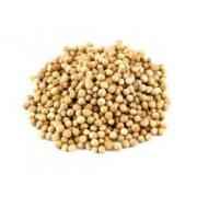 CORIANDER SEEDS