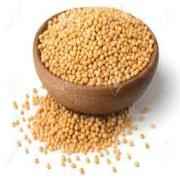 MUSTARD SEEDS YELLOW