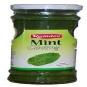 RAMDEV MINT CHUTNEY