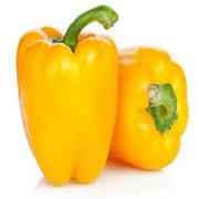 Yellow Bell Pepper