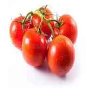Stem Tomato