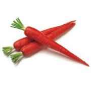 Losse Indian Carrot