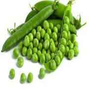 Green Pea