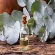 JIVA ORGANIC ECALYPTUS OIL