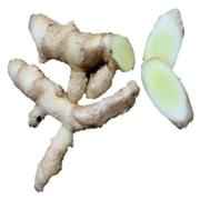 White Turmeric