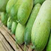 Winter Melon   Ash Gourd  White Pumpkin Slice