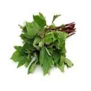 Gongura Leaves Bunches